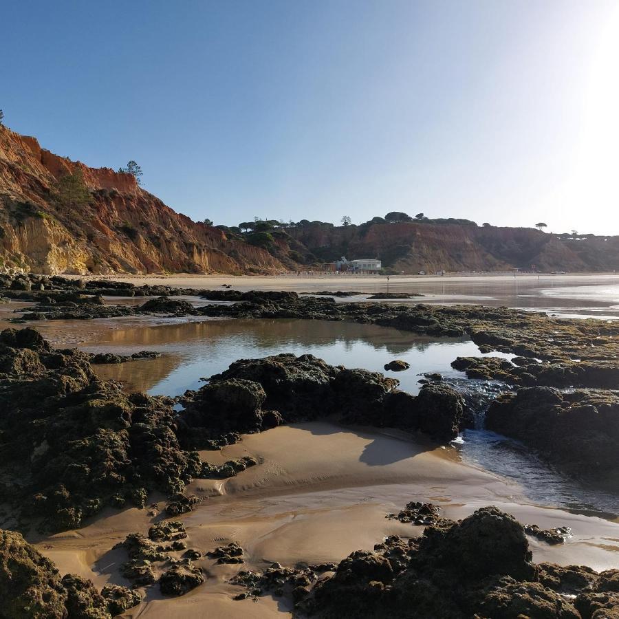 Paradise In Olhos D'Agua Beach Albufeira Zewnętrze zdjęcie